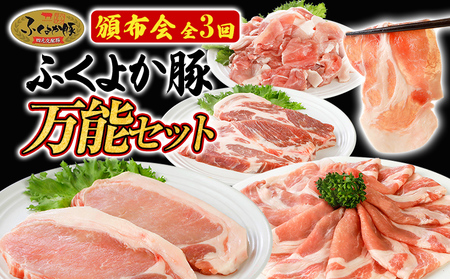 [頒布会]豚肉 切り落とし しゃぶしゃぶ ステーキ ふくよか豚 万能セット 定期便 ロース 肩ロース バラ モモ ヒレ 小分け ブタ肉 ぶた肉 冷凍 福岡県 福岡 九州 グルメ お取り寄せ