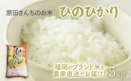 米 「原田さんちのお米」ヒノヒカリ 5kg 米