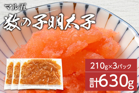 ̎qq210g×3pbN(v630g)