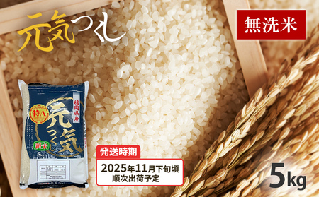 令和7年産 福岡県産ブランド米「元気つくし」無洗米 5kg[11月下旬頃より順次出荷予定]