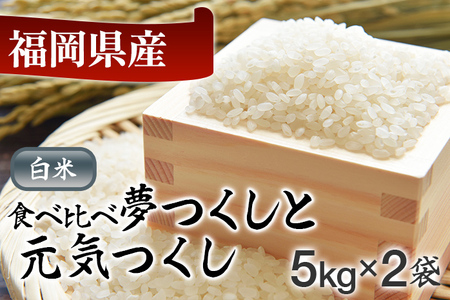 令和5年産 福岡県産米食べ比べ(白米)「夢つくし」と「元気つくし」セット 計10kg