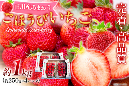 あまおう ごほうびいちご 約1kg（約250g×4パック） ＜2025年1月以降順次発送予定＞ いちご 苺 高品質 完熟 フルーツ 果物 お取り寄せ ご当地グルメ 福岡土産 取り寄せ グルメ 福岡県 食品