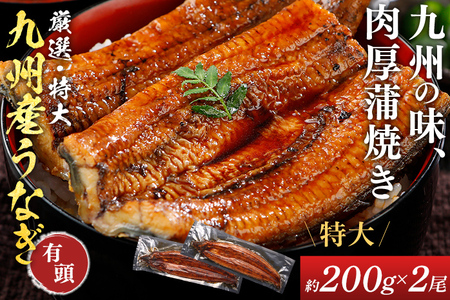 鹿児島県産うなぎ蒲焼き 約400g（約200g×2尾）