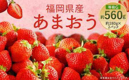 [先行予約]あまおう 等級G 約560g 約280g×2パック いちご 苺 果物 フルーツ [2025年2月上旬〜2025年3月下旬発送予定]