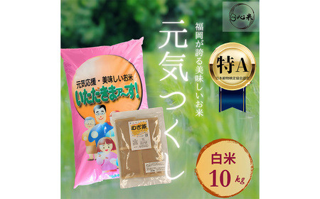 [柳川のお米] 令和6年産 元気つくし 10kg と 麦茶 16P セット 白米 お茶 パック