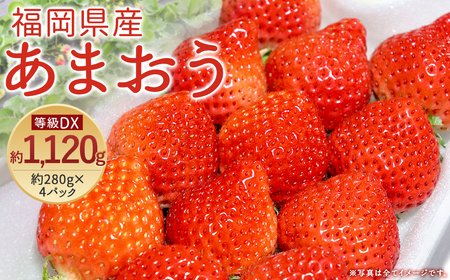 【先行予約】あまおう 等級DX 約1,120g 約280g×4 いちご 苺 果物 フルーツ【2026年2月上旬～3月下旬発送予定】