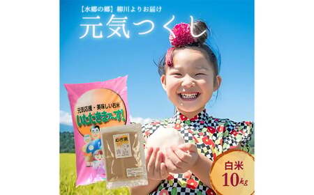 [柳川のお米] 令和6年産 元気つくし 10kg と 麦茶 16P セット 白米 お茶 パック