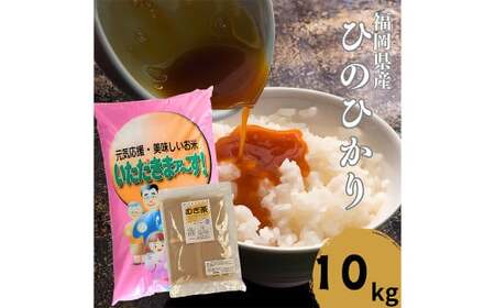 [柳川のお米] 令和6年産 ヒノヒカリ 10kg と 麦茶 16P セット 白米 お茶 パック