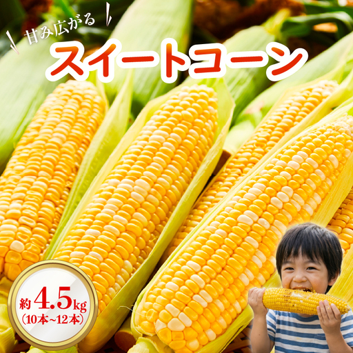 とうもろこし ドルチェドリーム 4.5kg 福岡県 柳川市 とうもろこし