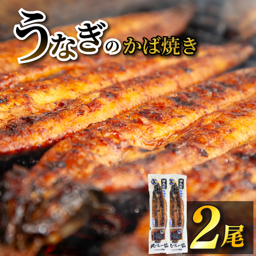 国産鰻 炭火焼き 2尾 うなぎ 柳川 鰻