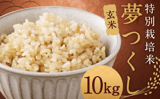 【玄米】 夢つくし （特別栽培米） 約10kg 福岡県産 令和8年産 玄米 米 こめ コメ