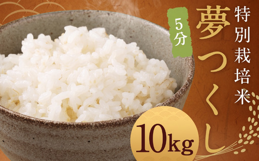 【5分】 夢つくし （特別栽培米） 約10kg 福岡県産 令和8年産 米 こめ コメ