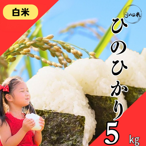 [令和7年産 白米]ヒノヒカリ 5kg 白米 精米 米