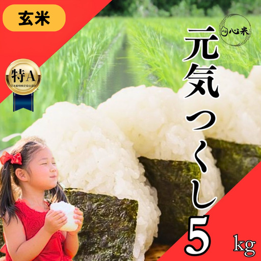 [福岡県産玄米]元気つくし 玄米5kg[配送不可地域:離島・沖縄県]