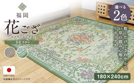 福岡 花ござ DXフラン 180×240cm（ベージュ/グリーン）カーペット ラグ