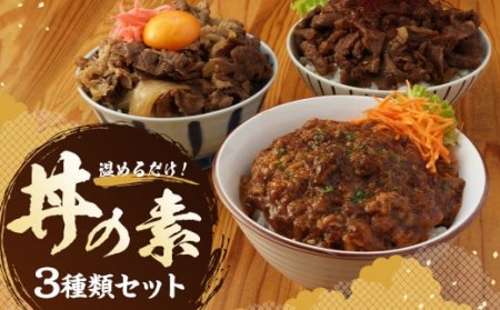 ハヤシ ・ 牛丼 ・ カルビー 丼の素 各種類×1袋 (200g) 冷凍