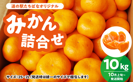 ̉w΂ȃIWi݂10kgl ݂ ݂ Ӑ݂ ~J IW ʕ t[c 054-010