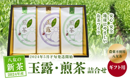 [2024年新茶][ギフト用][農薬不使用]玉露・煎茶ギフトセット[2024年5月下旬発送開始] 041-005