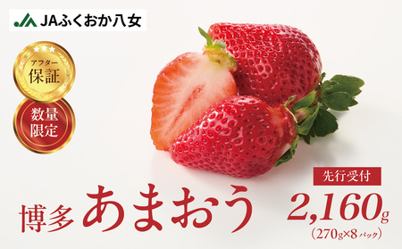 博多あまおうG270g×8パック いちご 新鮮いちご 福岡いちご 大きめいちご 大容量いちご