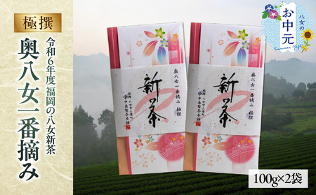 [お中元][新茶]ギフト用 八女新茶 一番摘み 極撰(100g×2袋) 013-009-N