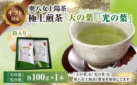 [ギフト用]奥八女上陽茶 極上煎茶「天の葉」100g・極上煎茶「光の葉」100gセット箱 178-003-GFT