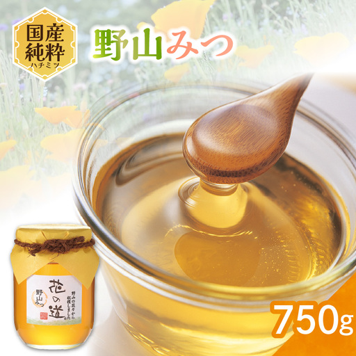 国産純粋蜂蜜 野山みつ 750g 非加熱 はちみつ ハチミツ 生はちみつ ローハニー オススメ 贈答 贈り物 プレゼント 八女市 183-027
