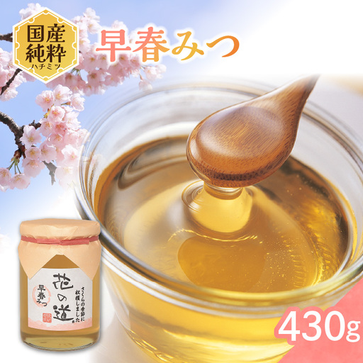 国産純粋蜂蜜 早春みつ 430g 非加熱 はちみつ ハチミツ 生はちみつ ローハニー オススメ 贈答 贈り物 プレゼント 八女市 183-020