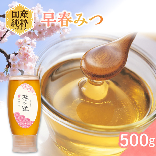 国産純粋蜂蜜 早春みつ 500g 非加熱 はちみつ ハチミツ 生はちみつ ローハニー オススメ 贈答 贈り物 プレゼント 八女市 183-021
