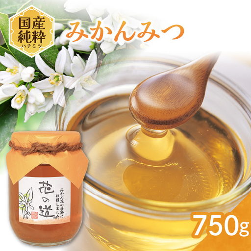 国産純粋蜂蜜 みかんみつ 750g 非加熱 はちみつ ハチミツ 生はちみつ ローハニー オススメ 贈答 贈り物 プレゼント 八女市 183-016