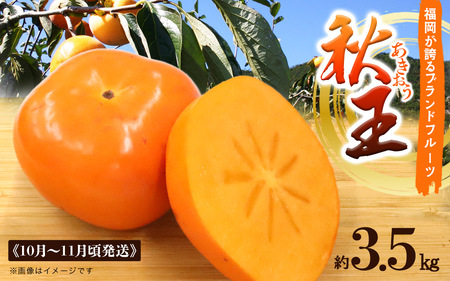 柿「秋王」約3.5kg 福岡秋王 大玉秋王 新品種秋王 甘柿秋王