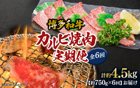 博多和牛 カルビ焼肉(バラ)定期便全6回 肉 お肉 焼肉 牛 牛肉 和牛 バーベキュー BBQ 焼肉