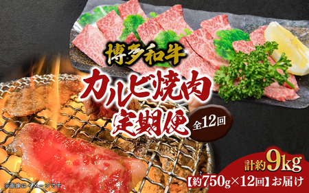 a Jrēioj֑S12   ē   a o[xL[ BBQ ē 072-T111