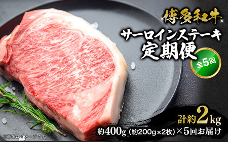 博多和牛 サーロインステーキ 定期便全5回 肉 お肉 和牛 牛肉 焼肉 ステーキ BBQ バーべキュー
