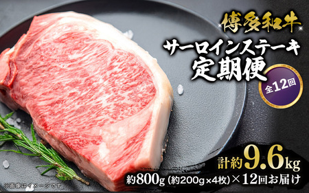 a T[CXe[L ֑S12 v9.6kg   a   ē Xe[L o[xL[ BBQ 200g 4 800g  12  s 072-T135