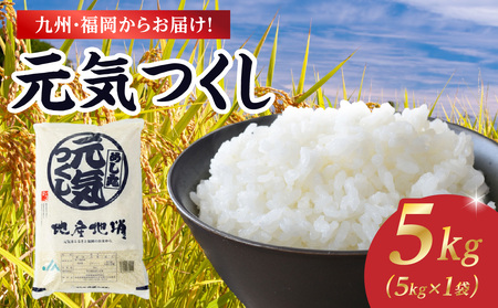 九州・福岡からお届け!ブランド米「元気つくし」5kg×1袋 お米 米 コメ 白米 特A 直送 お弁当 おにぎり 炊きたて ツヤ 粘り もちもち 弾力 卵かけご飯 福岡県 八女市 072-333