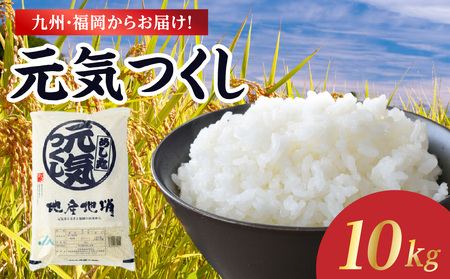 九州・福岡からお届け!ブランド米「元気つくし」 10kg(5kg×2) お米 米 コメ 白米 特A 直送 お弁当 おにぎり 炊きたて ツヤ 粘り もちもち 弾力 卵かけご飯 福岡県 八女市 072-334