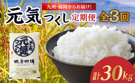 九州・福岡からお届け!ブランド米「元気つくし」定期便 10kg(5kg×2)[全3回] お米 米 コメ 白米 特A 直送 お弁当 おにぎり 炊きたて ツヤ 粘り もちもち 弾力 卵かけご飯 福岡県 八女市