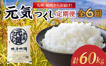 BE炨͂IuhāuCv 10kg(5s×2)yS6z   R  A  ٓ ɂ  c S  e   s 072-T1