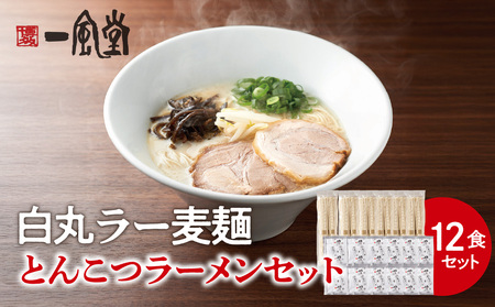 一風堂白丸ラー麦麺セット(12食) ラーメン 博多 福岡 とんこつ ラー麦 麺 セット 072-326