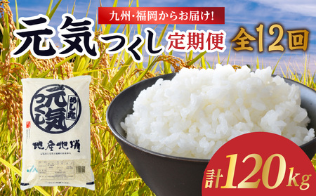 BE炨͂IuhāuCv 10kg(5s×2)yS12z   R  A  ٓ ɂ  c S  e   s 072-T