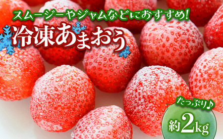 Ⓚ܂ij2kg  ܂ Ⓚ fU[g AW W X[W[ fU[g N[ Ⓚz  s 072-307