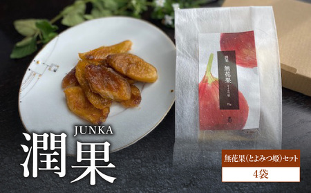 ドライフルーツ 潤果(無花果・とよみつ姫)セット ドライフルーツ いちじく ブランド果実 着色料不使用 保存料不使用 甘味 おやつ お茶菓子 おつまみ 福岡県 八女市 206-002