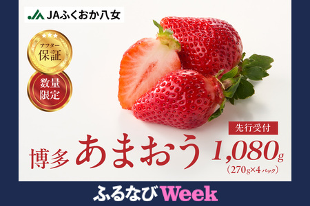 [ふるなびWEEK対象][先行受付]博多あまおう グランデ規格 270g×4パック 1080g アフター保証 数量限定 大きめ果実のあまおう FN-Limited