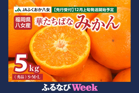 [ふるなびWEEK対象][2025年12月発送開始]華たちばなみかん 5kg|JAふくおか八女 蜜柑 ミカン 秀品 福岡 果物 フルーツ 先行予約 家庭用 自宅用 FN-Limited