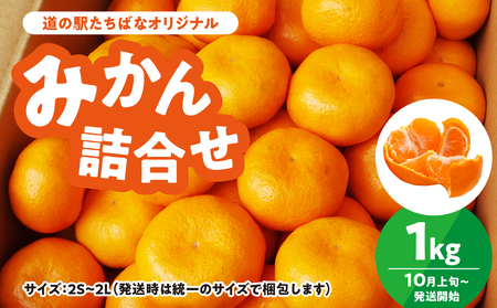 [道の駅たちばなオリジナル]みかん1kg詰合せ 早生みかん 中生みかん 晩生みかん ミカン オレンジ 果物 フルーツ 054-016