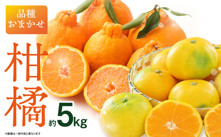 品種おまかせ!柑橘(5kg) ミカン みかん デコポン 柑橘 おまかせ 5キロ 旬 フルーツ 果物 福岡県 八女市 197-004