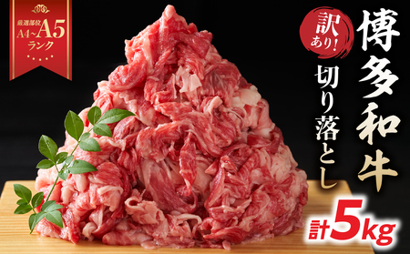 󂠂IyA4`A5za؂藎Ƃ 5kg(500g×10Pj a Ԃ Ă  o a Y   A4 A5 214-021