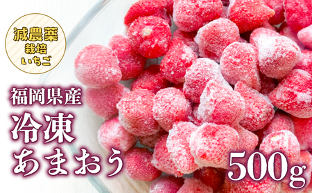 冷凍いちご 500g×1パック[大月いちご園] あまおう いちご 苺 イチゴ フルーツ くだもの 朝採り 冷凍 アレンジ 小分け 食べきり 福岡県 八女市 210-001