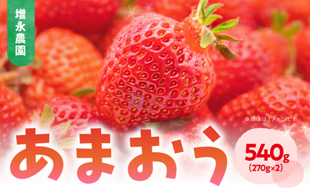 [増永農園] あまおう 270g×2パック [2026年1月より順次発送] ジューシー フレッシュ 苺 果物 くだもの スイーツ作り 数量限定 イチゴ 期間限定 美味しい いちご 福岡県 八女市 190-001