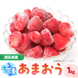[増永農園] 冷凍あまおう 1kg 国産 冷凍いちご 美味しい 冷凍 イチゴ 1キロ スイーツ作り 冷凍フルーツ 福岡県 八女市 190-002